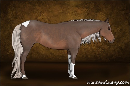 Horse Color:Silver Black Sabino Tobiano 