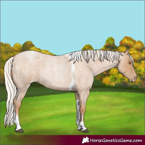 Horse Color:Silver Blue Roan Pearl Tobiano Frame 