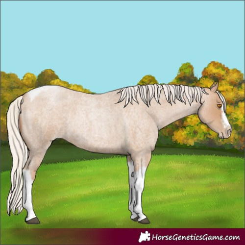 Horse Color:Silver Blue Roan Pearl Tobiano Frame 
