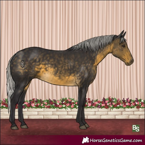 Horse Color:Silver Buckskin Rabicano 