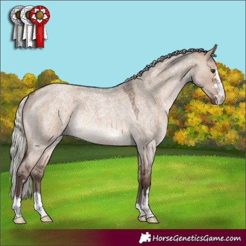 Horse Color:Silver Brown Roan Dun Rabicano 