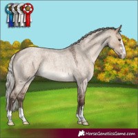 Horse Color:Silver Brown Roan Dun Rabicano