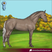Horse Color:Silver Grullo 