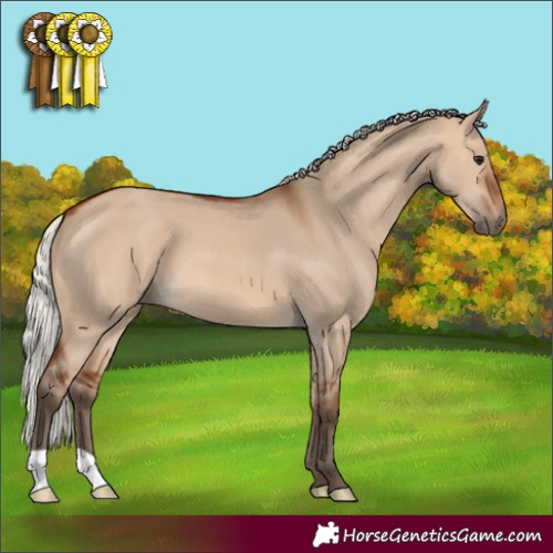 Horse Color:Silver Bay Dun 