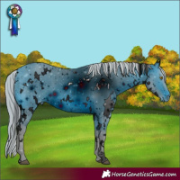 Horse Color:ERROR: UNKNOWN ANOMALY