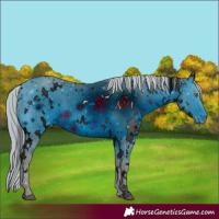 Horse Color:ERROR: UNKNOWN ANOMALY