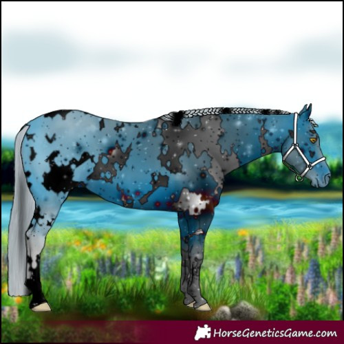 Horse Color:ERROR: UNKNOWN ANOMALY