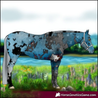 Horse Color:ERROR: UNKNOWN ANOMALY