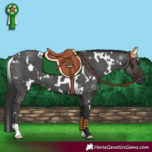 Horse Color:White Spotted Liver Chestnut 
