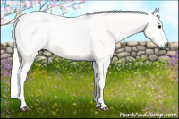 Horse Color:Gray Black 