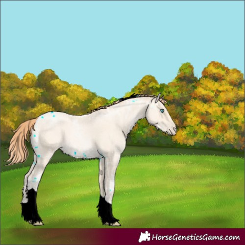 Horse Color:Classic Cream Champagne Ice Pearl Tobiano