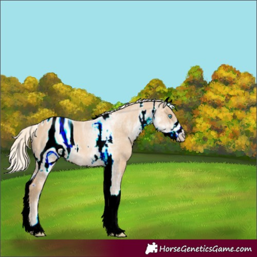 Horse Color:ERROR: UNKNOWN ANOMALY