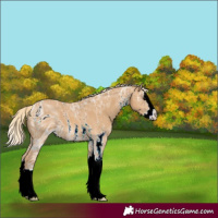 Horse Color:ERROR: UNKNOWN ANOMALY