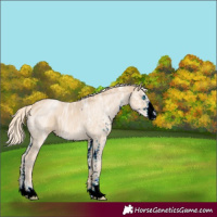 Horse Color:ERROR: UNKNOWN ANOMALY