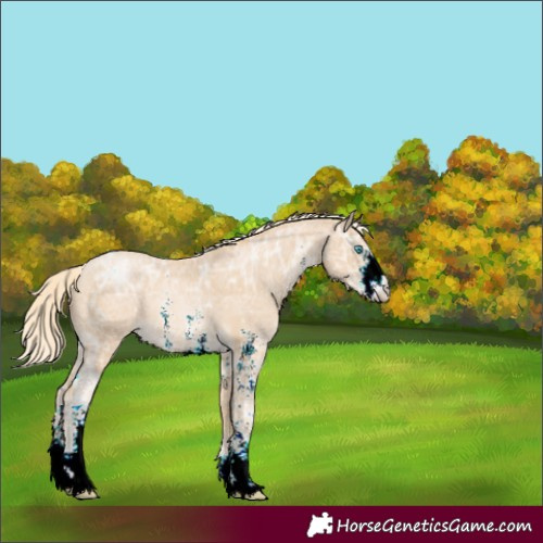 Horse Color:Palomino Ice Pearl Sabino 