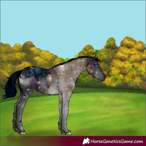 Horse Color:ERROR: UNKNOWN ANOMALY