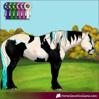 Horse Color:ERROR: UNKNOWN ANOMALY