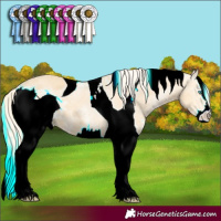 Horse Color:ERROR: UNKNOWN ANOMALY