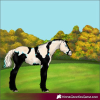 Horse Color:ERROR: UNKNOWN ANOMALY