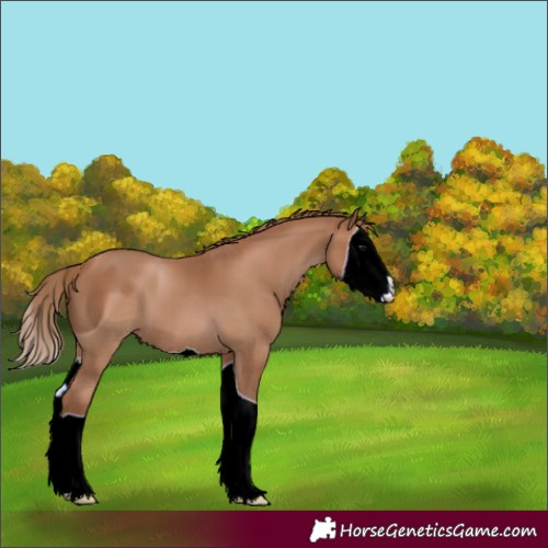 Horse Color:ERROR: UNKNOWN ANOMALY
