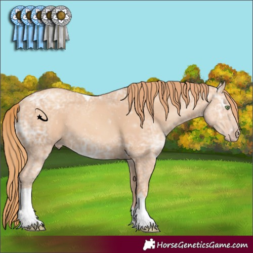 Horse Color:Gold Champagne Ice Tobiano 