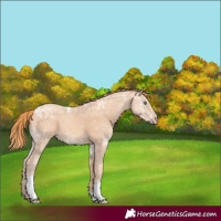 Horse Color:Gold Champagne Ice Tobiano 