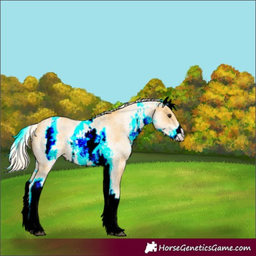 Horse Color:White Spotted Palomino Sabino