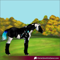 Horse Color:ERROR: UNKNOWN ANOMALY