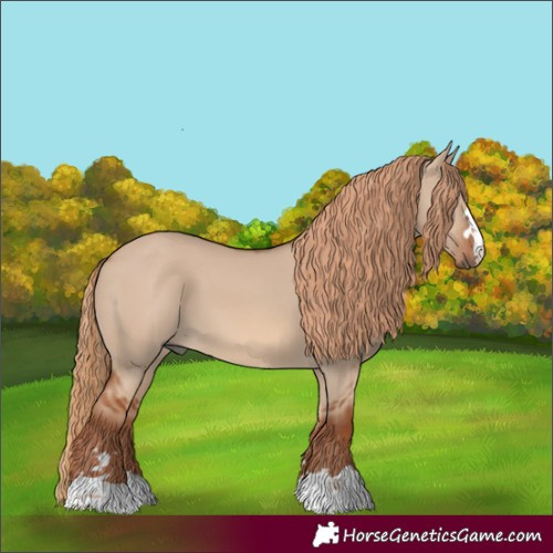 Horse Color:Red Dun 