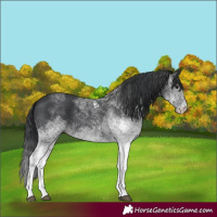 Horse Color:White Spotted Black