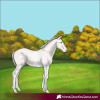 Horse Color:Silver Smoky Creme Dun Tobiano Rabicano 