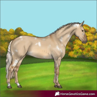 Horse Color:White Spotted Chocolate Palomino Dun