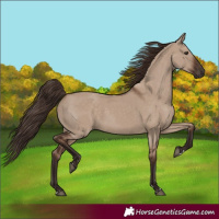 Horse Color:Liver Red Dun 