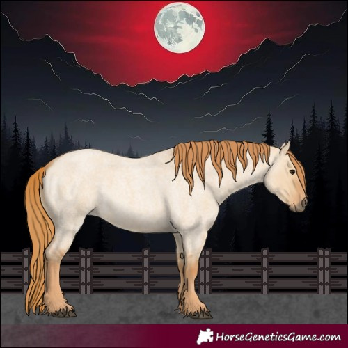 Horse Color:Red Dun Roan 