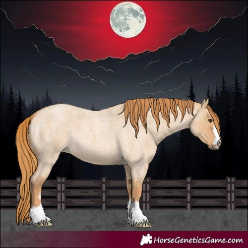Horse Color:Red Dun Roan 