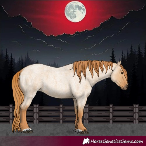 Horse Color:Red Dun Roan 