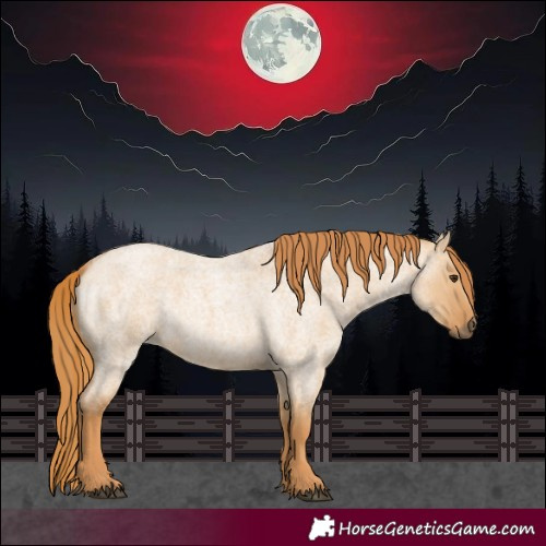 Horse Color:Red Dun Roan 