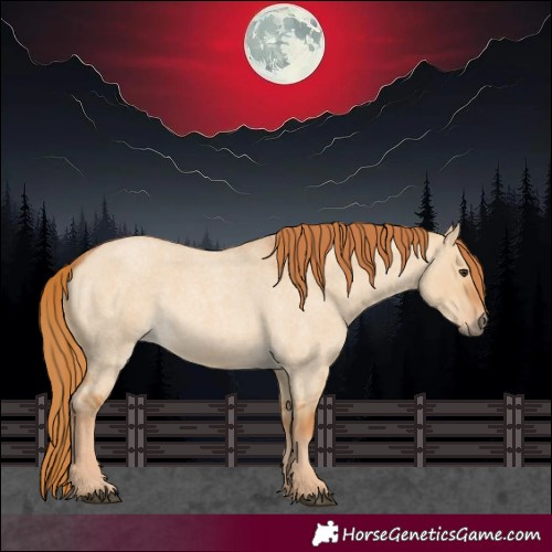 Horse Color:Red Dun Roan 