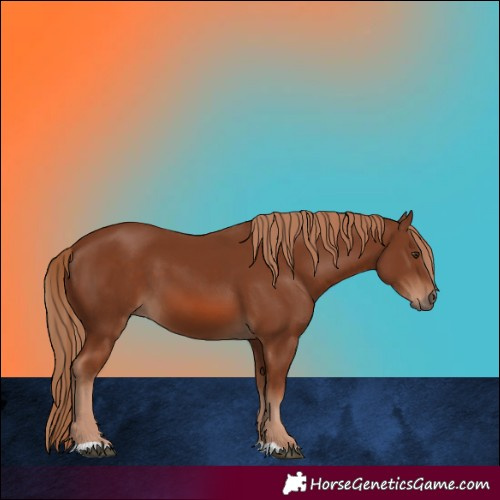 Horse Color:Chestnut 