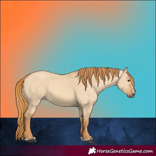 Horse Color:Red Dun 