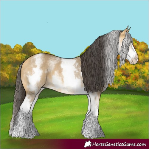 Horse Color:White Spotted Buckskin Dun 