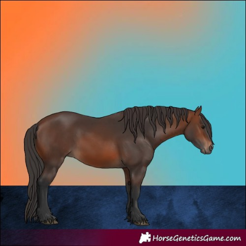 Horse Color:Brown 