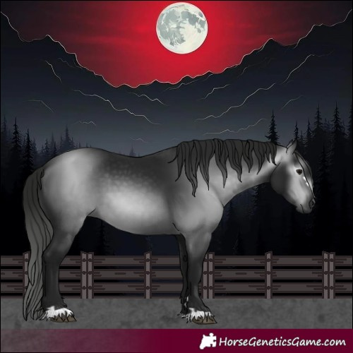 Horse Color:Gray Black 