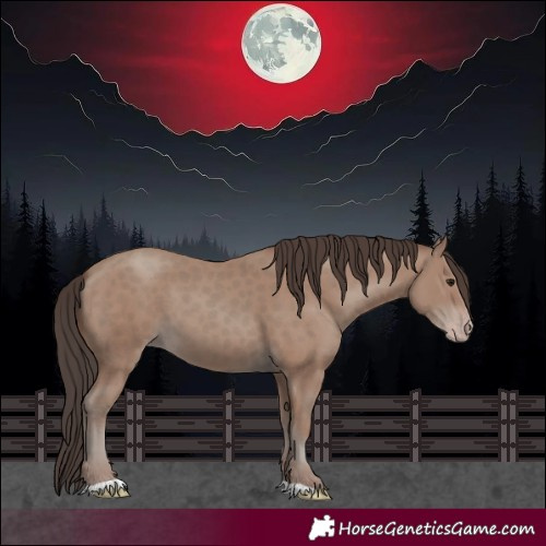 Horse Color:Classic Champagne 