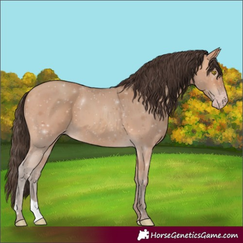 Horse Color:Amber Champagne 