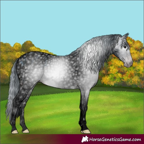Horse Color:ERROR: UNKNOWN ANOMALY