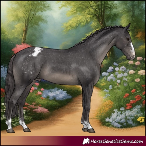 Horse Color:Smoky Black Varnish 