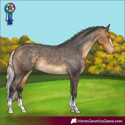 Horse Color:Silver Buckskin Varnish 