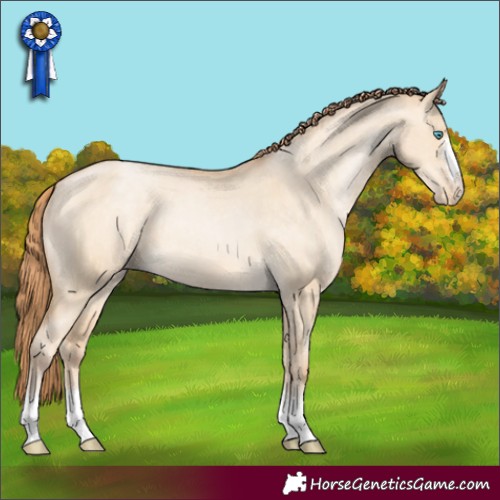 Horse Color:Buckskin Pearl Dun Appaloosa 