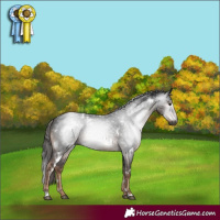 Horse Color:Gray White Spotted Liver Chestnut